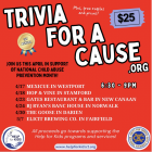 Trivia Night Trivia for a Cause online poster